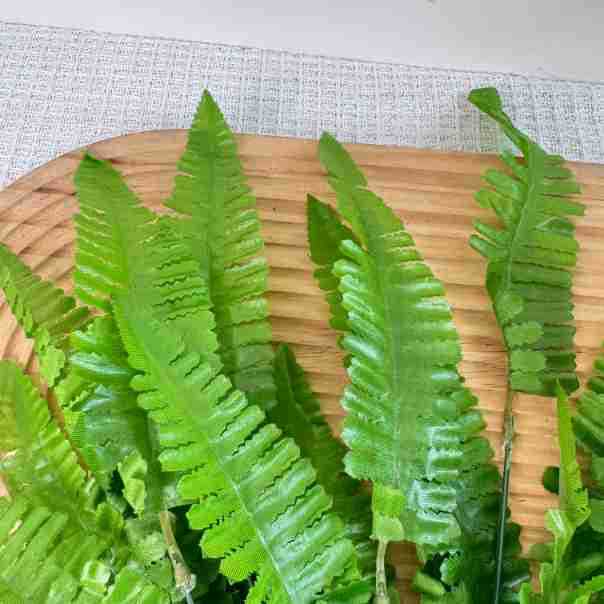17.72in Fake for fern Stems De - Wedding Solution 评论和价格